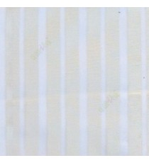 White color vertical pencil stripes net finished vertical and horizontal thread crossing checks poly sheer curtain